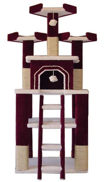 Cat Condos of all sizes. 
