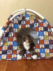 1-Colorful-Cat-Squares-Modern-Cat-Tent