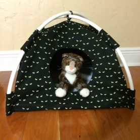 1-Yellow-Cat-Eyes-Modern-Cat-Tent