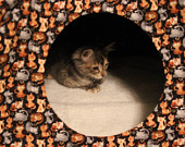Cat Tents