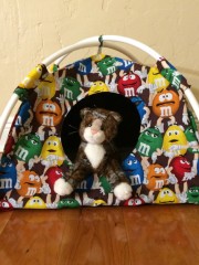 Cat and Dog Tent